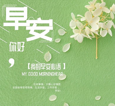 花卉你好早安绿色朋友圈封面