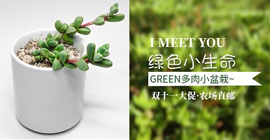 绿色清新双十一多肉盆景促销电商海报
