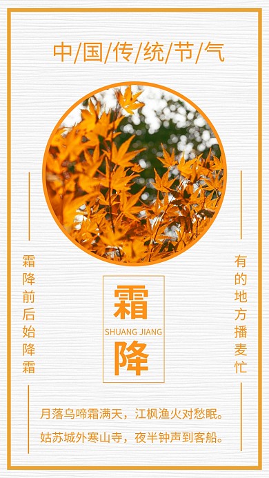 简约二十四节气霜降海报