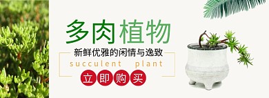 简约风多肉植物专场淘宝banner