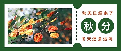简约秋分节气公众号首图