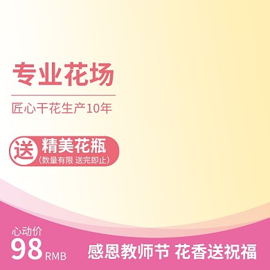 粉色黄色紫红优雅清新教师节送礼干花直通车