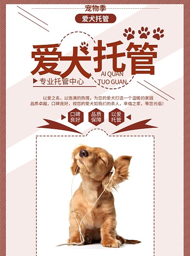 爱犬托管宣传单