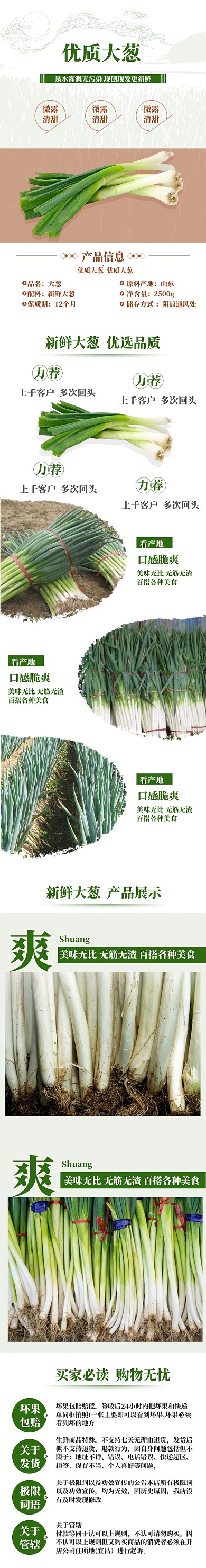 绿色调优质大葱详情页