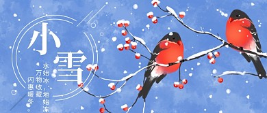 中国风二十四节气小雪花鸟公众号首图