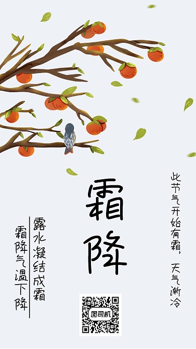 简约二十四节气霜降宣传手机海报