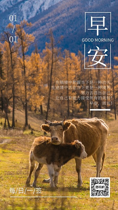 一月你好手机海报