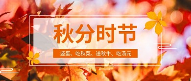橙色秋分时节唯美首图