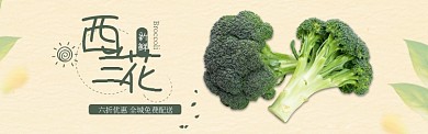 绿色水果蔬菜西兰花促销banner