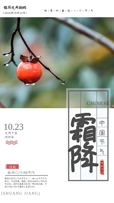 霜降传统节气摄影手机海报