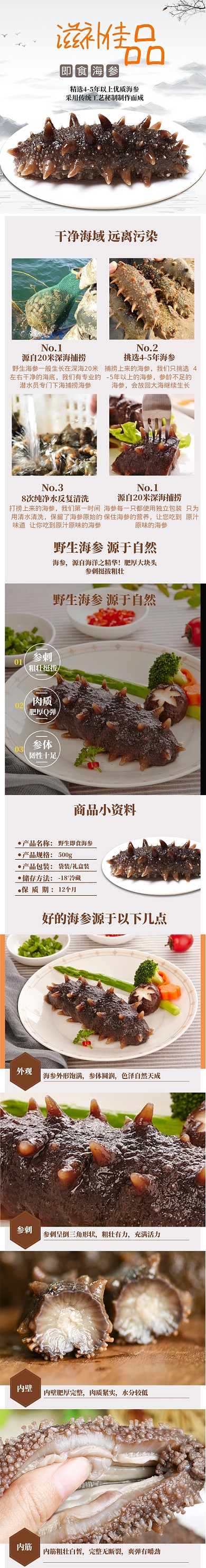 清新野生海参滋补食品详情页