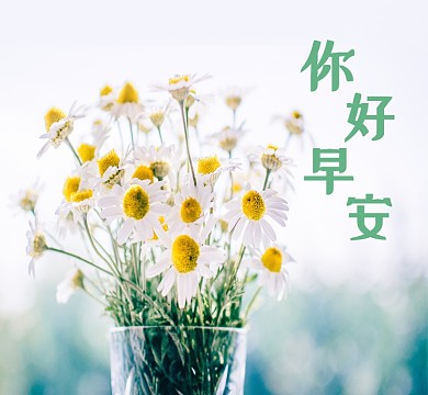 小清新你好早安花卉朋友圈封面