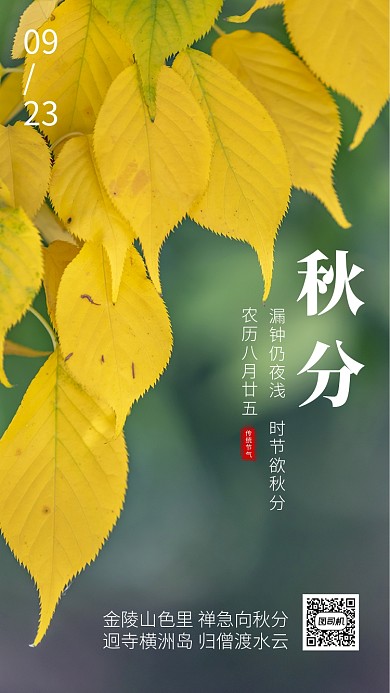 简约实景风传统节气秋分海报