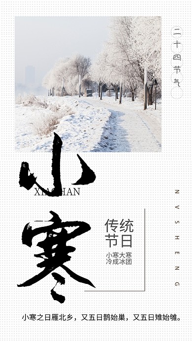 白色书签风节气小寒手机海报