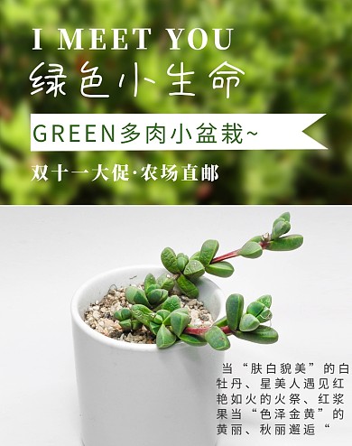 绿色清新桌面多肉盆景双十一促销海报