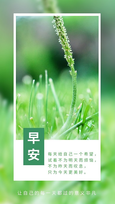 绿色小清新早安手机海报