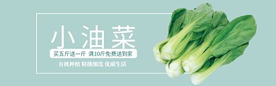 绿色水果蔬菜小油菜促销banner