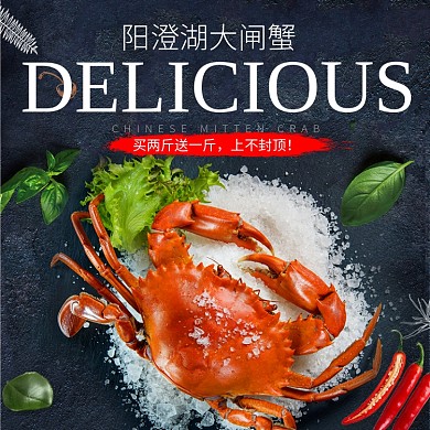 阳澄湖大闸蟹促销淘宝直通车图片
