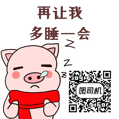 猪手绘可爱简约关注新媒体二维码