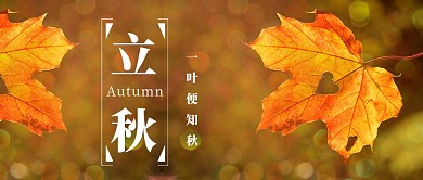 立秋节气落叶唯美首图
