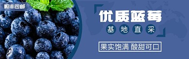 优质蓝莓淘宝banner