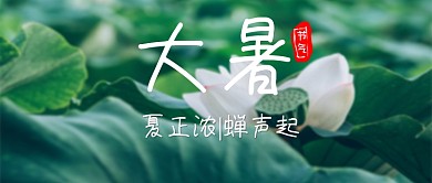大暑绿色摄影节气宣传公众号首图