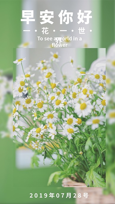 绿色高清菊花7月28号早安手机海报