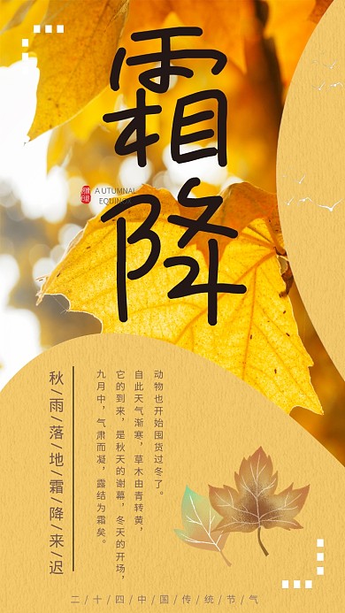 秋季简约清新霜降节气宣传手机海报