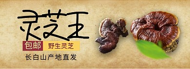 灵芝王淘宝banner