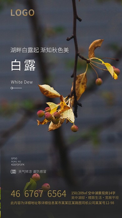 简约24节气白露手机海报