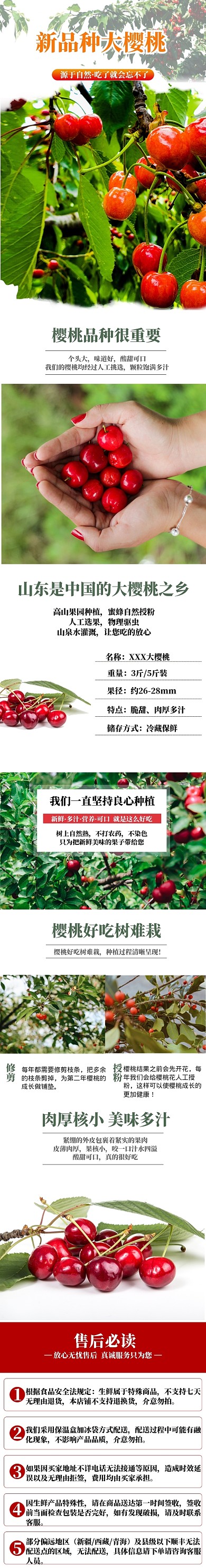 清新新品种大樱桃详情页