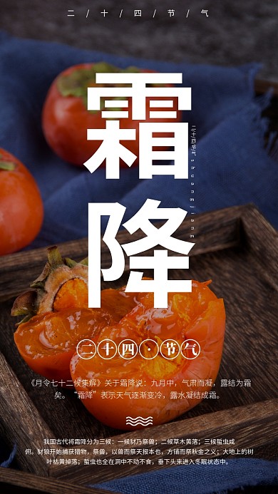 霜降传统节气简约宣传手机海报