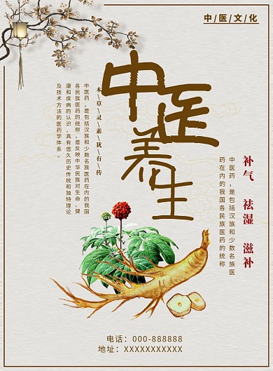 传统古风中医养生印刷海报