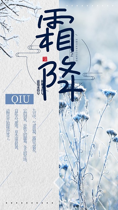 冬季简约大气霜降节气宣传手机海报