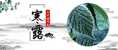 寒露节气公众号首图