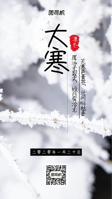 大寒小寒二十四节气冬至大气雪花海报