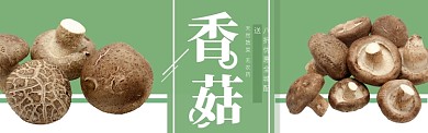 绿色农产品香菇促销banner 