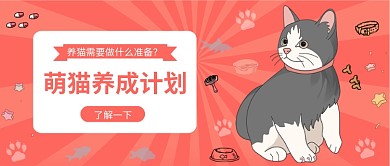 萌猫养成计划公众号首图