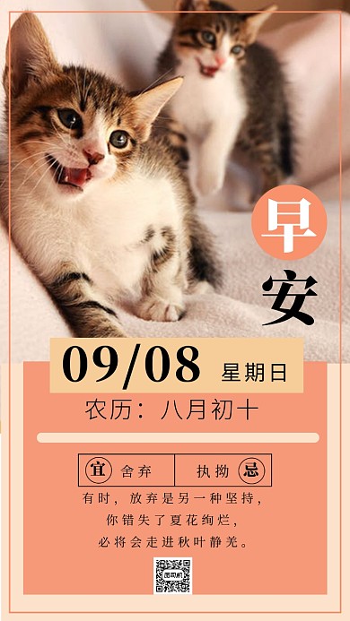 简约清新猫咪早安日签海报