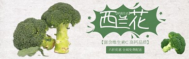 绿色水果蔬菜西兰花促销banner