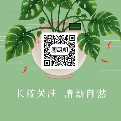 清新自然花盆金鱼二维码