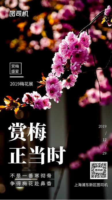 简约大气梅花展宣传手机海报