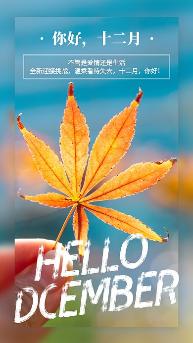 植物简约摄影十二月你好手机海报