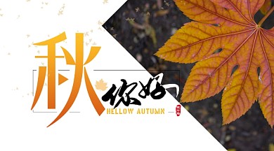 白色简约节气手机横图海报