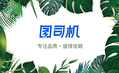 绿色植物叶子名片