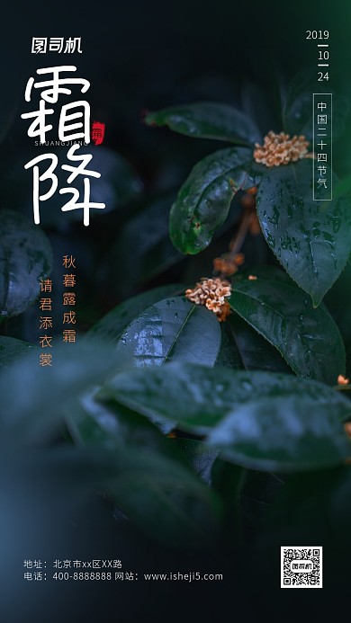 简洁大气霜降节气手机海报