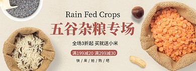 五谷杂粮专场banner