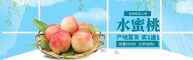 水果促销模版banner