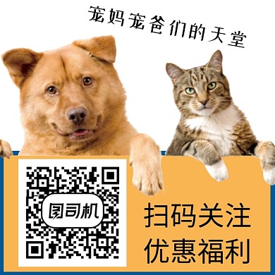 宠物简约猫狗新媒体二维码关注