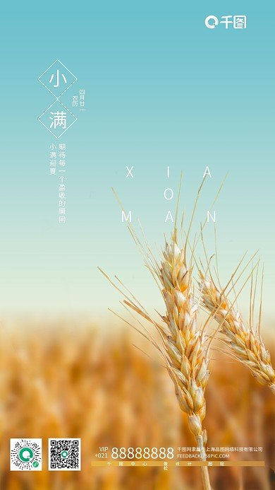 二十四节气小满摄影图小麦手机营销海报